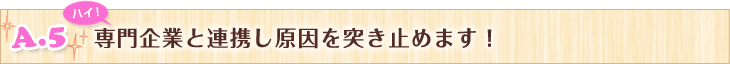 専門企業と連携し原因を突き止めます！